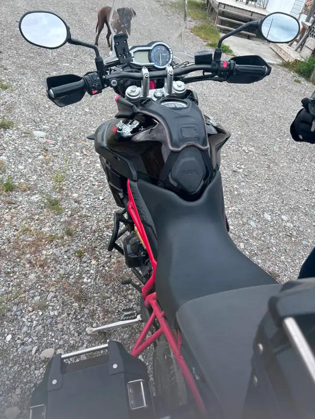 2014 Triumph Tiger in Sport Touring in Cranbrook - Image 6