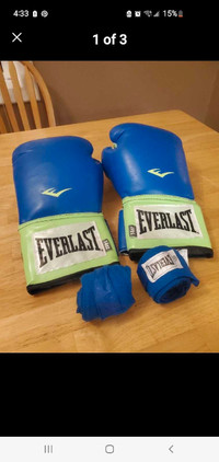 14oz boxing gloves