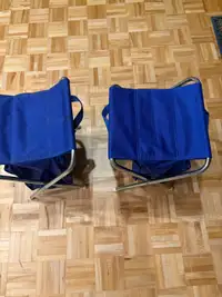 Portable seat with cooler 
