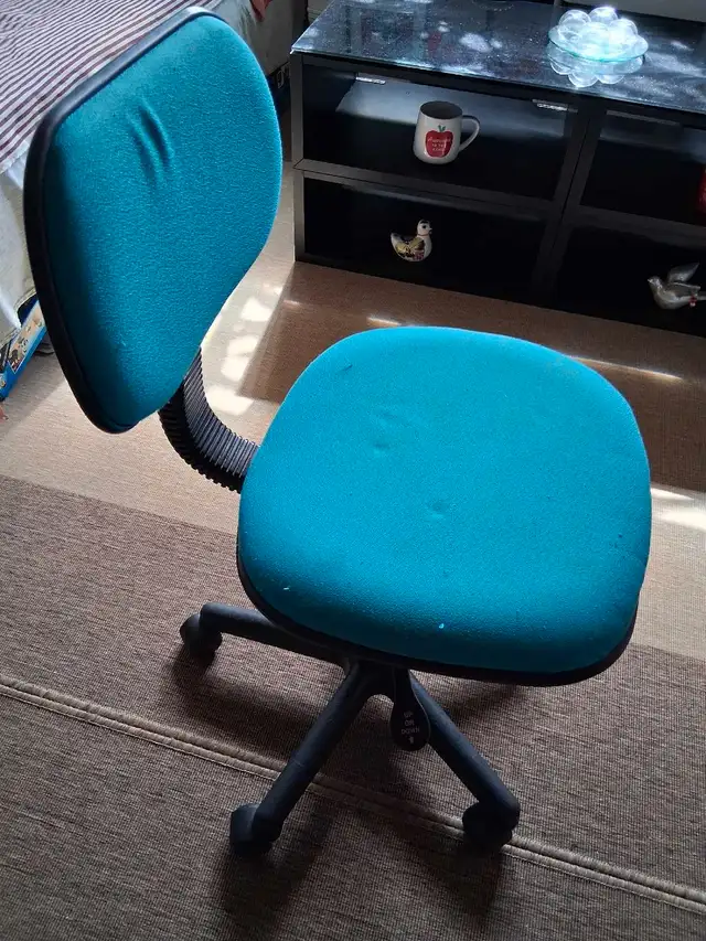 swivel adjustable chair63611956242179123
