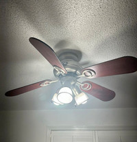 Hampton Bay Ceiling Fan with Light Kit