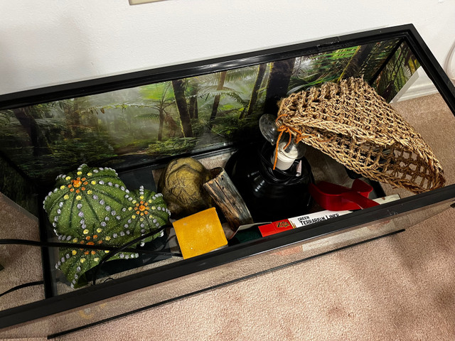 Leopard Gecko Tank & Supplies in Other in London - Image 3