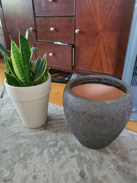 Plant vases