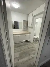 1 Bedroom and Bathroom Available today!