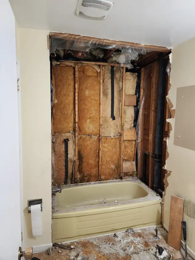 renovation64519986537859121