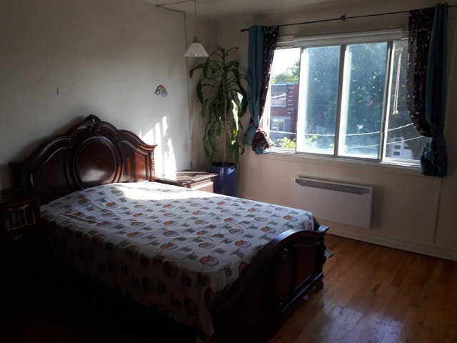 LARGE ROOM FOR RENT — photo 3