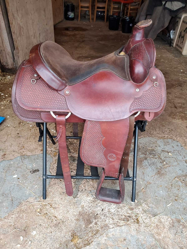 Circle Y Roper All Around Western Saddle in Equestrian & Livestock Accessories in Truro