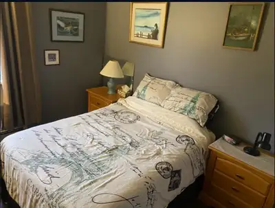 Single room for rent in a luxurious home in Sullivan Heights. Room is fully furnished with 32 inch m...