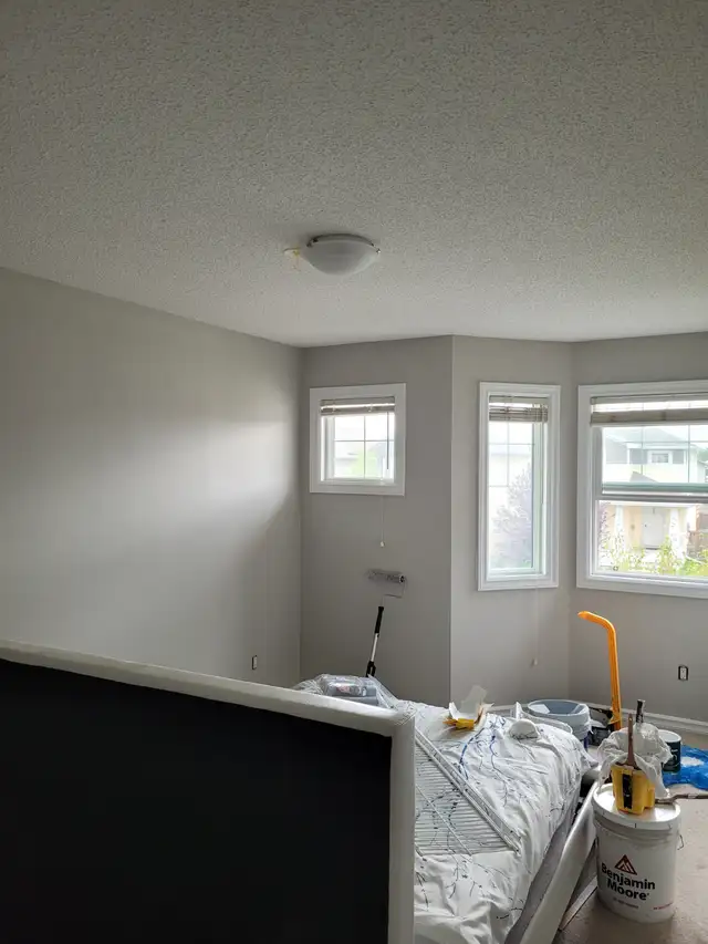 Stains & Paints62863710940417123