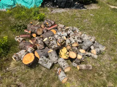 Firewood, View more