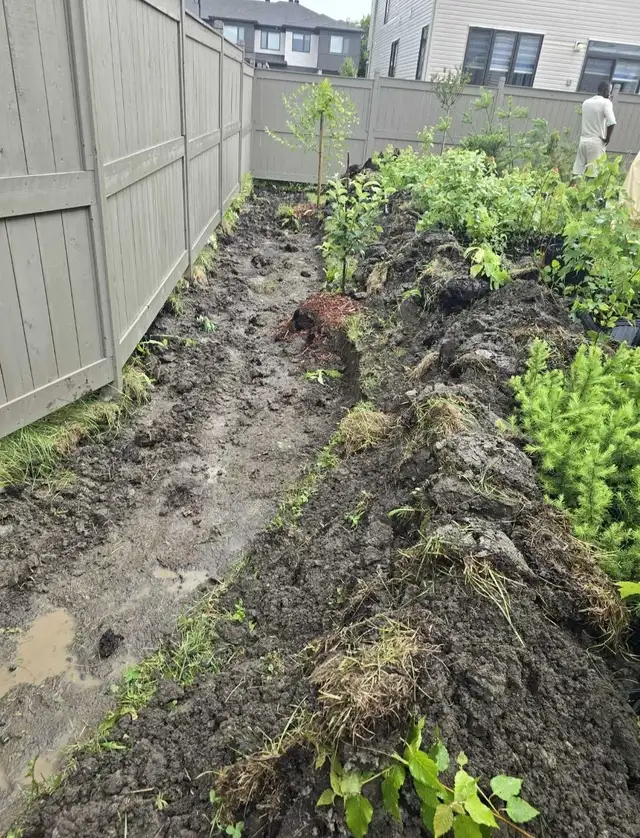 Cheap landscaping403929222559846405