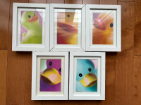 5 Picture Frames with Inserts