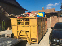 $299 Bin Rental / Junk Removal / waste management services 