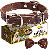 ADITYNA LEATHER DOG COLLAR FOR PUPPY AND SMALL DOGS
