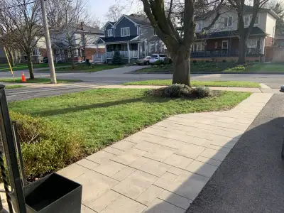 Leaf Removal & Yardwork, View more