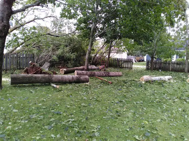 Handyman Services; Trees; Fences; Decks; Lawns; Driveways in Lawn, Tree Maintenance & Eavestrough in Summerside - Image 3