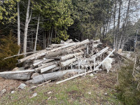 Cedar posts for sale 