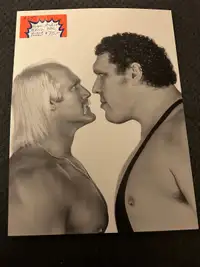 WWE WWF MINI Posters Wrestlemania Wrestling Undertaker Booth 276