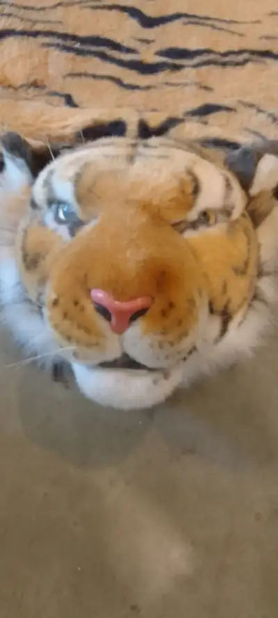 TIGER RUG, View more