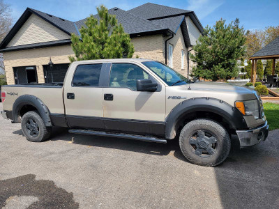 2010 ford F150