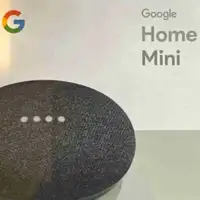 Google Home mini (chacoal model / Unopened)