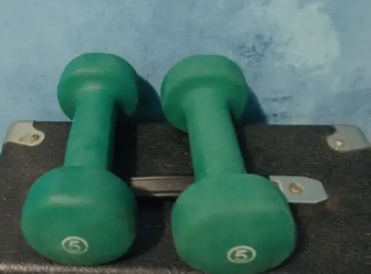 weights 5 lbs in Exercise Equipment in Delta/Surrey/Langley - Image 2