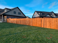 Fence, Decks & Repairs
