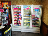 Ice Cream Store Freezers, huge discount, price drop!!