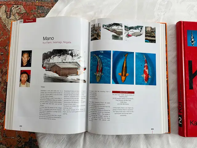 Koi 1 & Koi 2 – Mint Hardcover Set by Harald Bachmann in Other in City of Toronto - Image 6