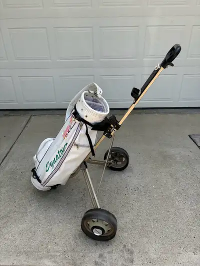 Leather golf bag and cart in good shape