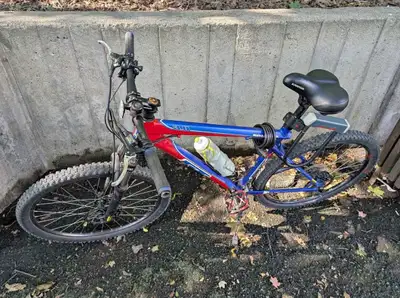 GT AVALANCHE 3.0|LARGE, View more