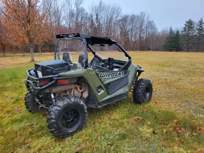 Looks and runs great, 4150 km, 4000lb wench, lots of extras, new drive belt, brakes, bushings, recen...