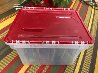 Christmas light storage box with seven strings of mini lights