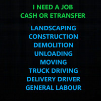 I NEED A JOB - ASAP- CASH OR ETRANSFER - I HAVE LOTS OF WORK EXP