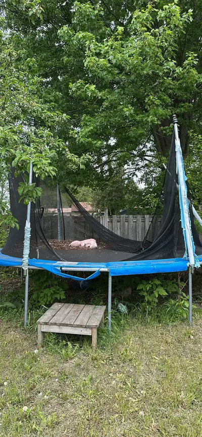 used trampoline., View more