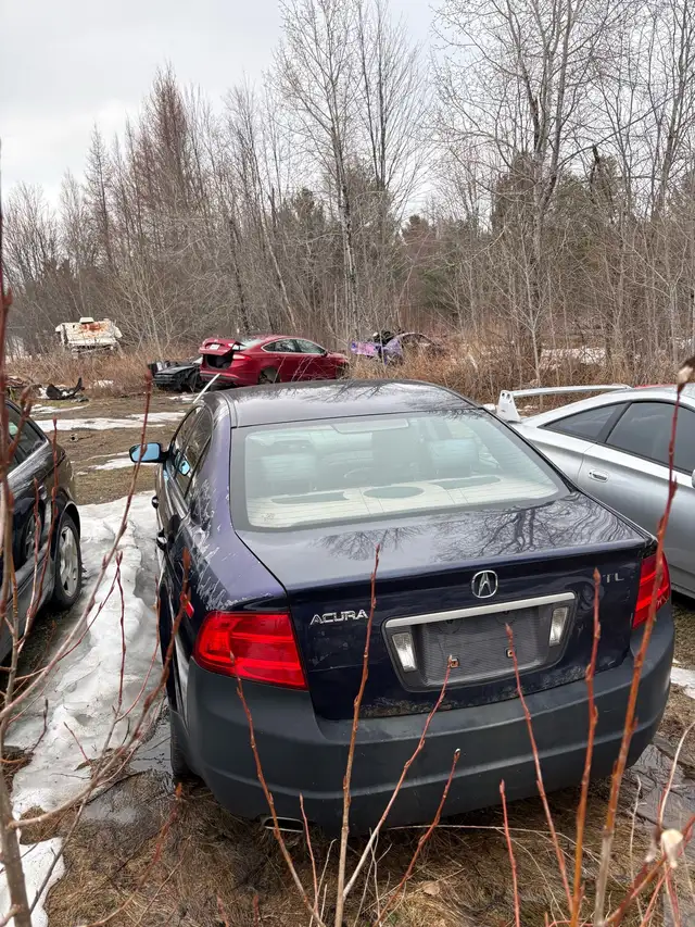 2006 Acura TL426574065100410883