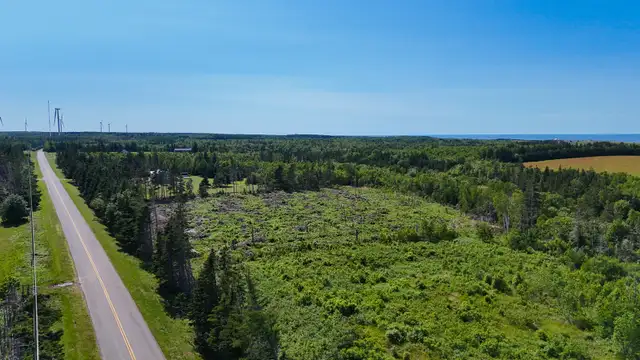 4.95 Acres For Sale Northside Road, PEI62863775286657124