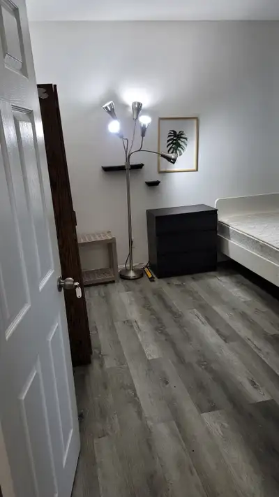 New, single, private & large bedroom near University