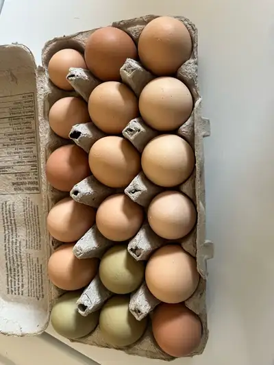 Farm Fresh Eggs, View more