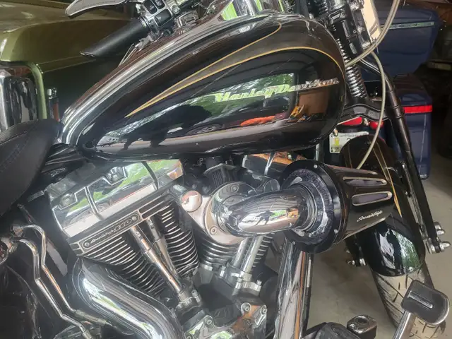 2008 Harley Davidson Springer CVO 110 in Street, Cruisers & Choppers in Winnipeg - Image 8