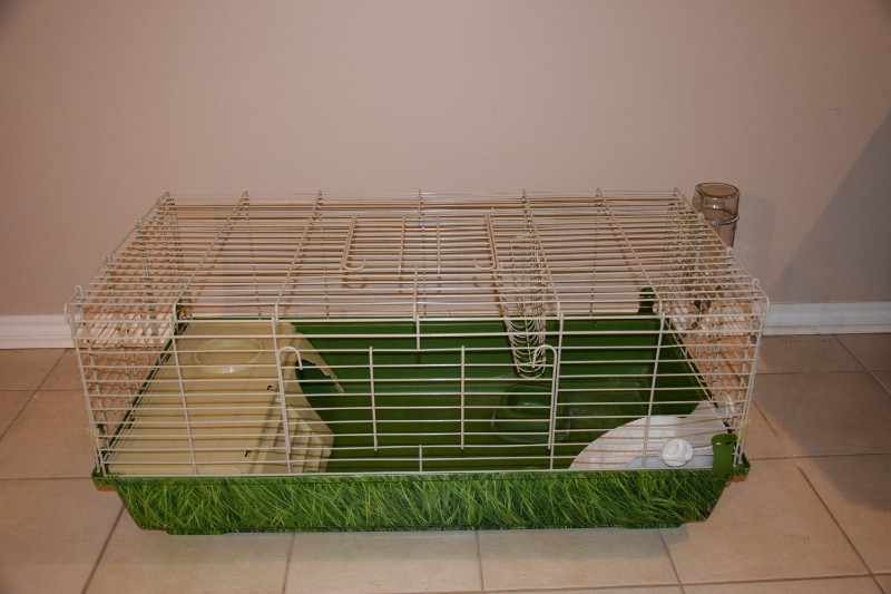 National geographic guinea pig cage 2025