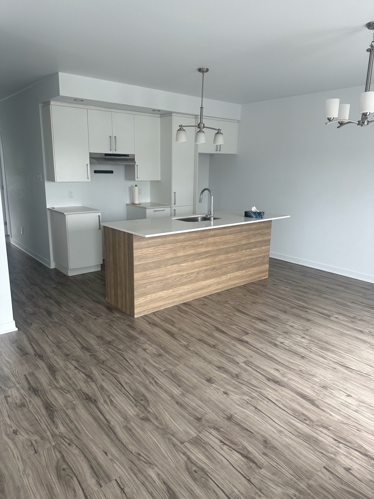 8907 Rue Magloire Lavallée — photo 2