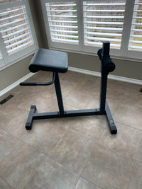 Health & Fitness Hyperextension Roman Chair – Brand New!
