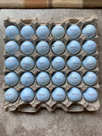 30 EA Kirkland Golf Balls