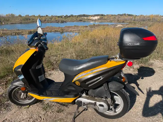 Scooter/Moped in Scooters & Pocket Bikes in Winnipeg - Image 6