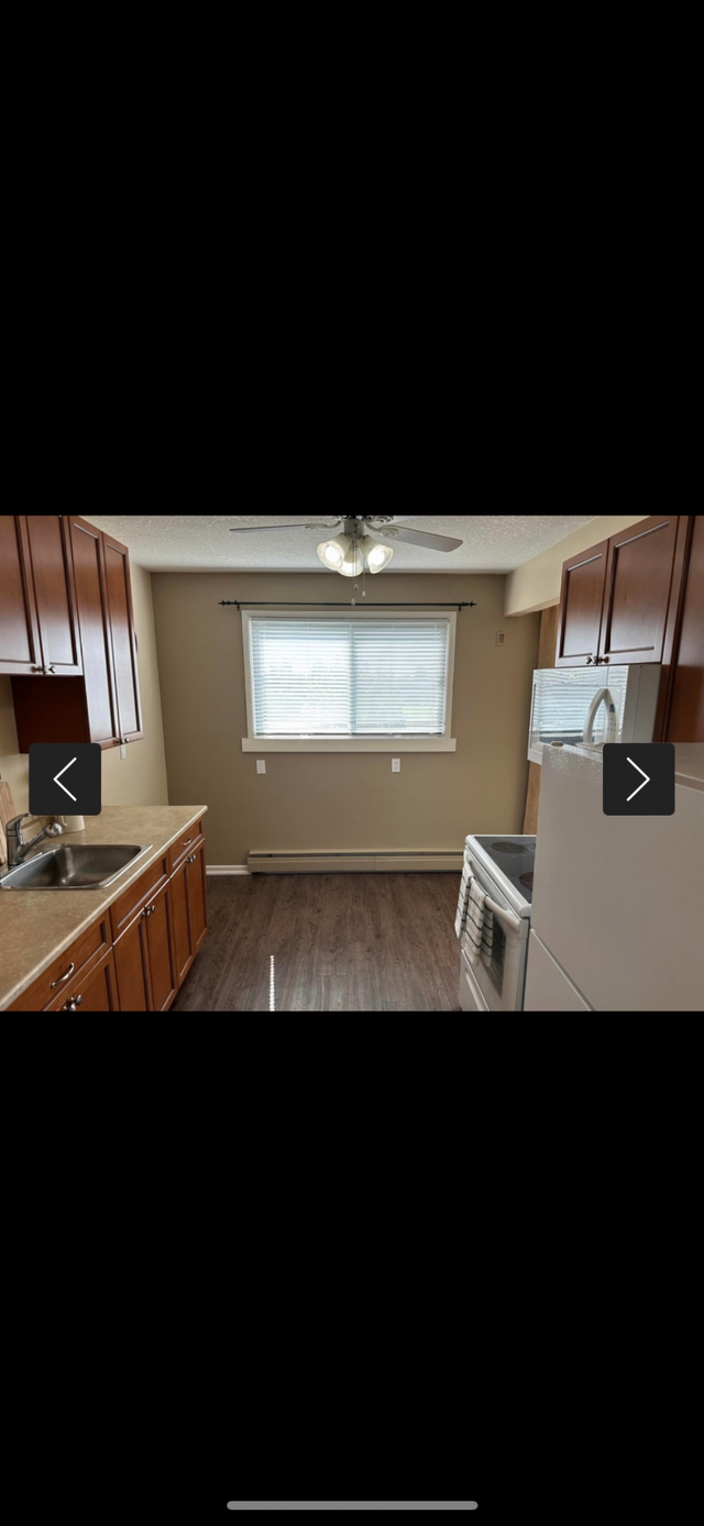 1 bedroom apartment for rent