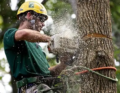 High standard, low cost tree maintenance. Including but not limited to; - Removal - Hauling - Stump...