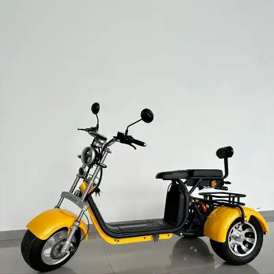 Experience freedom and stability every day with the Youpi Premium Electric Trike, built for all seas...
