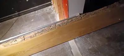 Reclaimed live edge finished FIR slab. Approx ~10ft x 15" x 2", View more