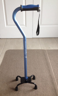Walking Canes for Seniors (4 Models available)